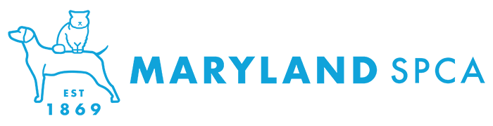 Green Solutions Remodeling in Glen Arm MD